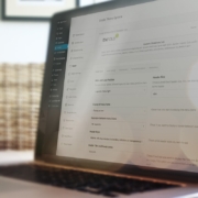 Powerful Theme Options